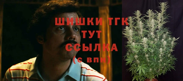 ГАЛЛЮЦИНОГЕННЫЕ ГРИБЫ Абинск