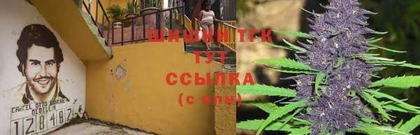 ECSTASY Абдулино