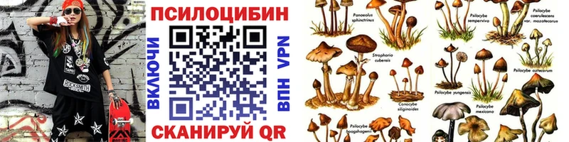 Галлюциногенные грибы MAGIC MUSHROOMS  omg ТОР  Избербаш 